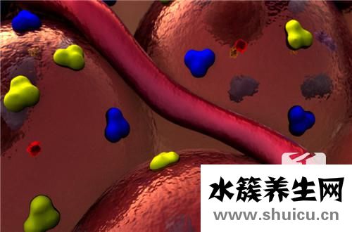 動脈斑塊的治療