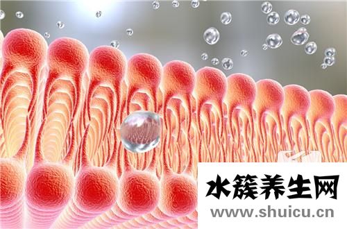 乳酸脫氫酶高是怎么回事