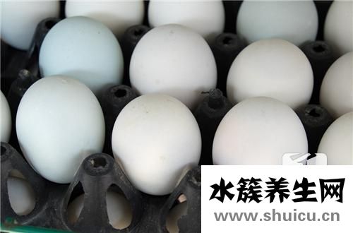 鴨蛋的功效與作用