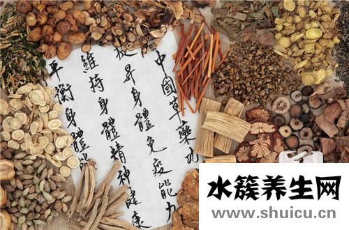 北芪與黃芪的區別