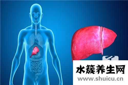 復(fù)方二氯醋酸二異丙胺