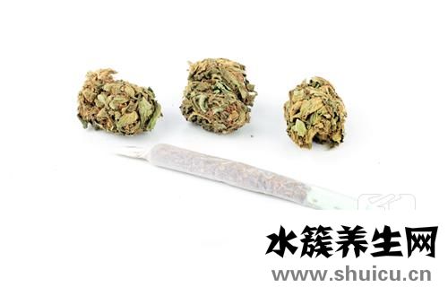 女生喝什么茶好