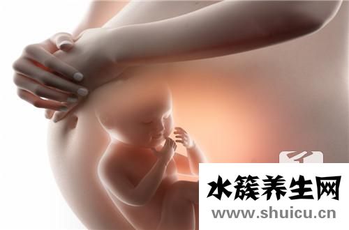 胎兒心率看男女