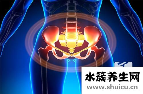 產后盆底肌修復