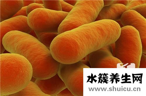 幽門螺旋桿菌超標