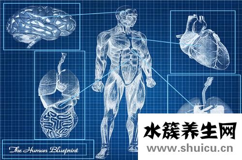 電子結(jié)腸鏡