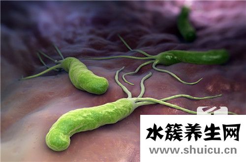 幽門螺桿菌感染原因