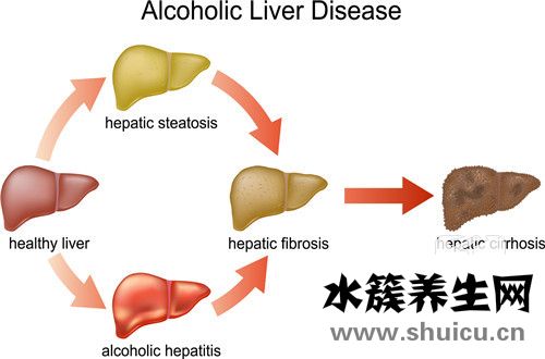 肝功能不好怎么調理