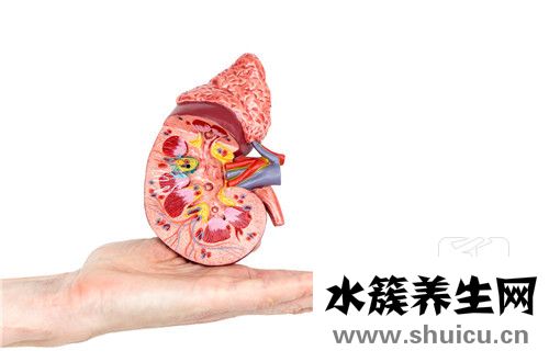 腎小球腎炎癥狀