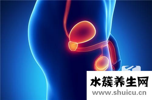 膀胱炎吃什么藥最好