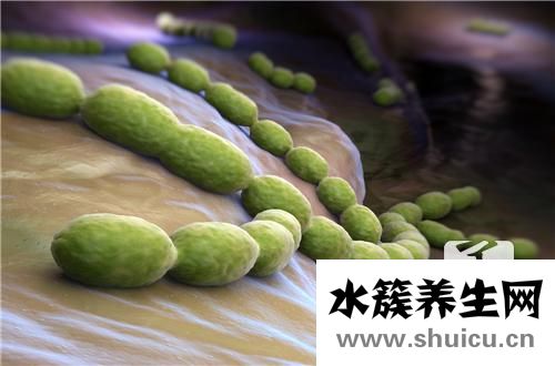 虎眼石的功效與作用