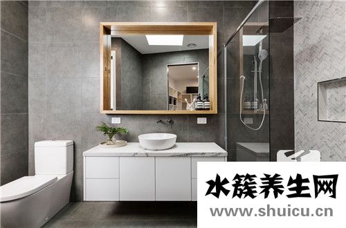 衛生間放什么植物最好