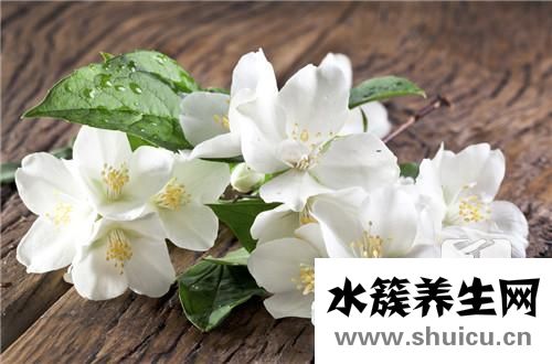 牡丹花的功效與作用