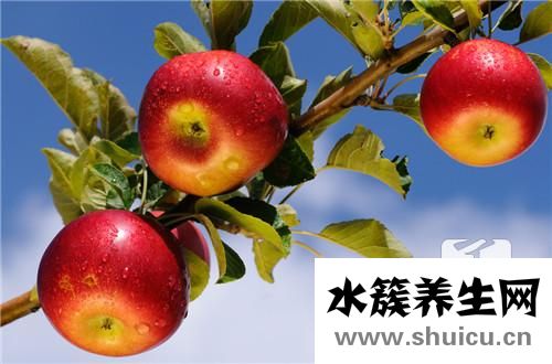 蘋果醋的制作方法