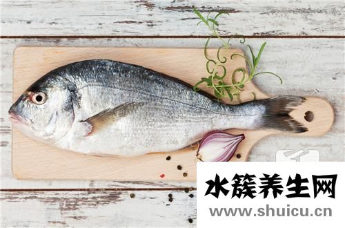 黑魚怎么釣