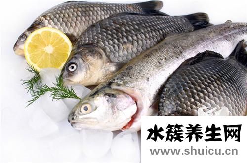 黑魚怎么釣