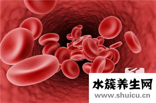 血小板低的癥狀