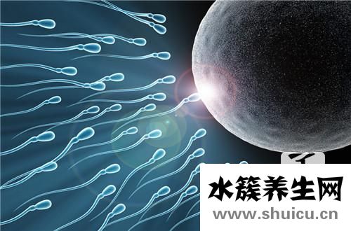 精子著床需要幾天