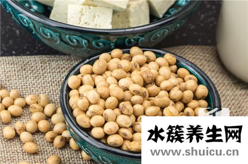 大豆纖維被的優缺點