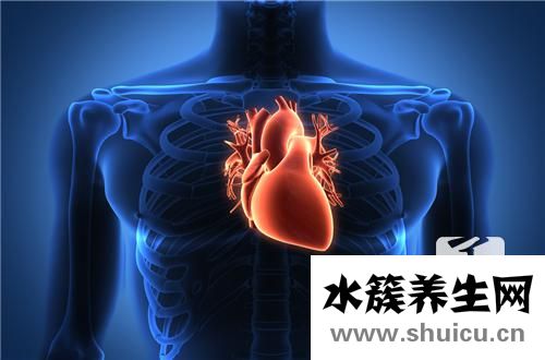 養(yǎng)肺潤肺的食物