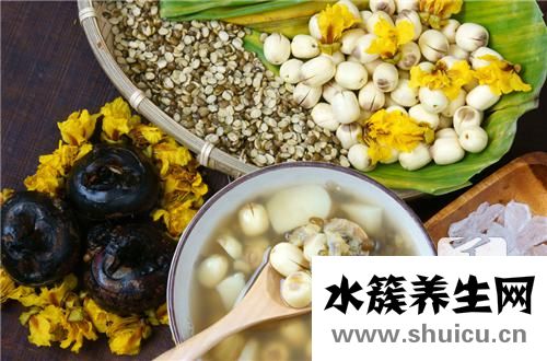 蓮蓬的功效與作用