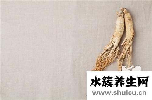 人參泡酒配方大全