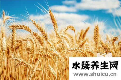 碳水化合物食物一覽表