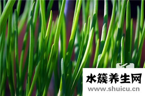 韭菜盒子的家常做法