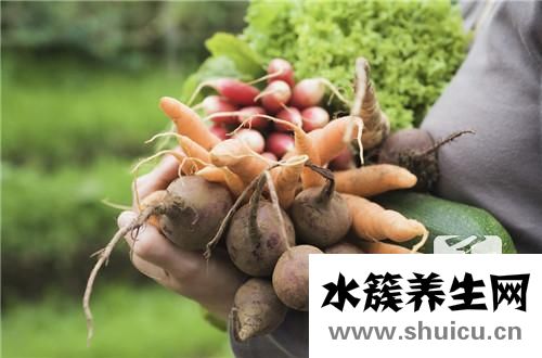 蘿卜干怎么做好吃