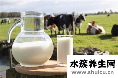 羊奶和牛奶哪個營養高