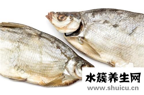 扁魚(yú)