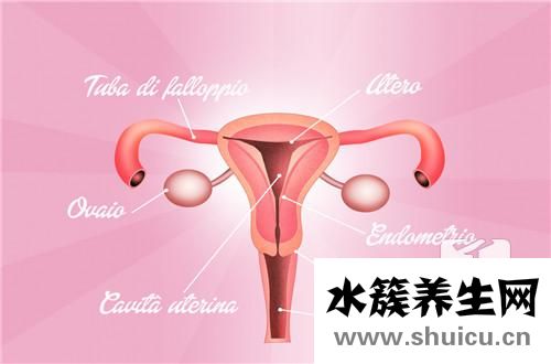 切除子宮的影響