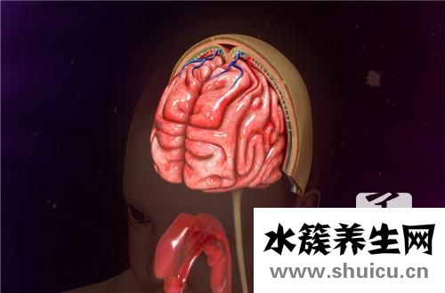中醫治療腦血栓