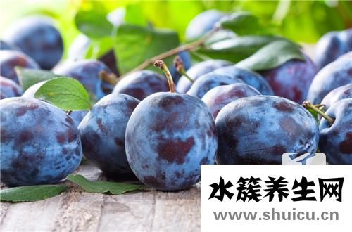 李子的營養(yǎng)價值