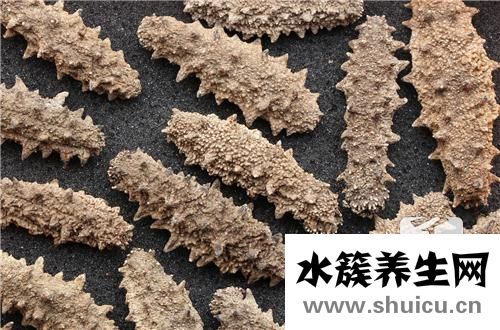 小米海參粥的家常做法