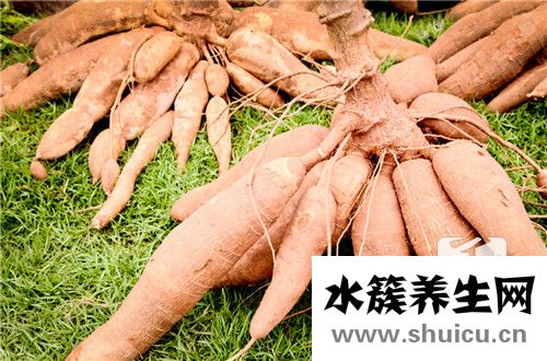 木薯粉可以做什么