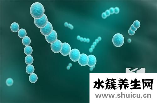 衣原體感染怎么治療