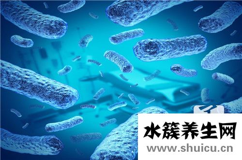 衣原體感染怎么治療