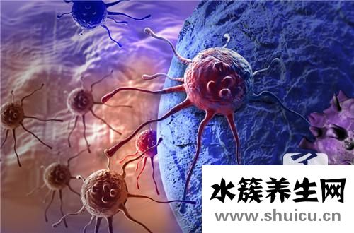 鐵觀音茶葉的功效