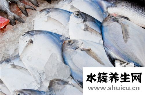 草魚火鍋的做法