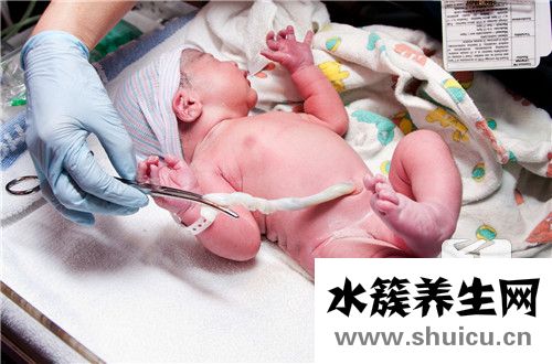 早產兒配方奶粉