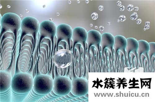 低密度脂蛋白偏高的原因