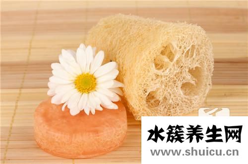 絲瓜絡(luò)是什么