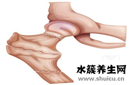 骨盆骨折的治療
