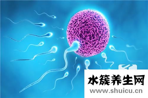 精子活力低的原因