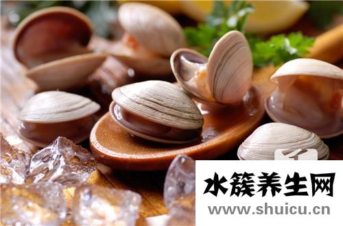 干貝的營養價值