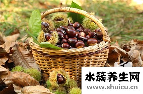 孕婦能吃栗子嗎