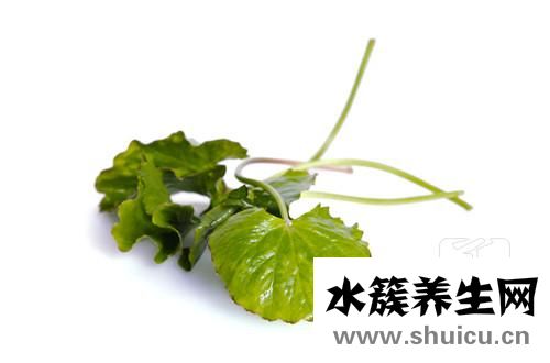 賴氨酸有長高的作用