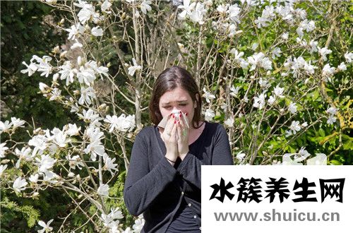 慢性過敏性鼻炎