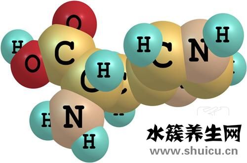 賴氨酸有長高的作用